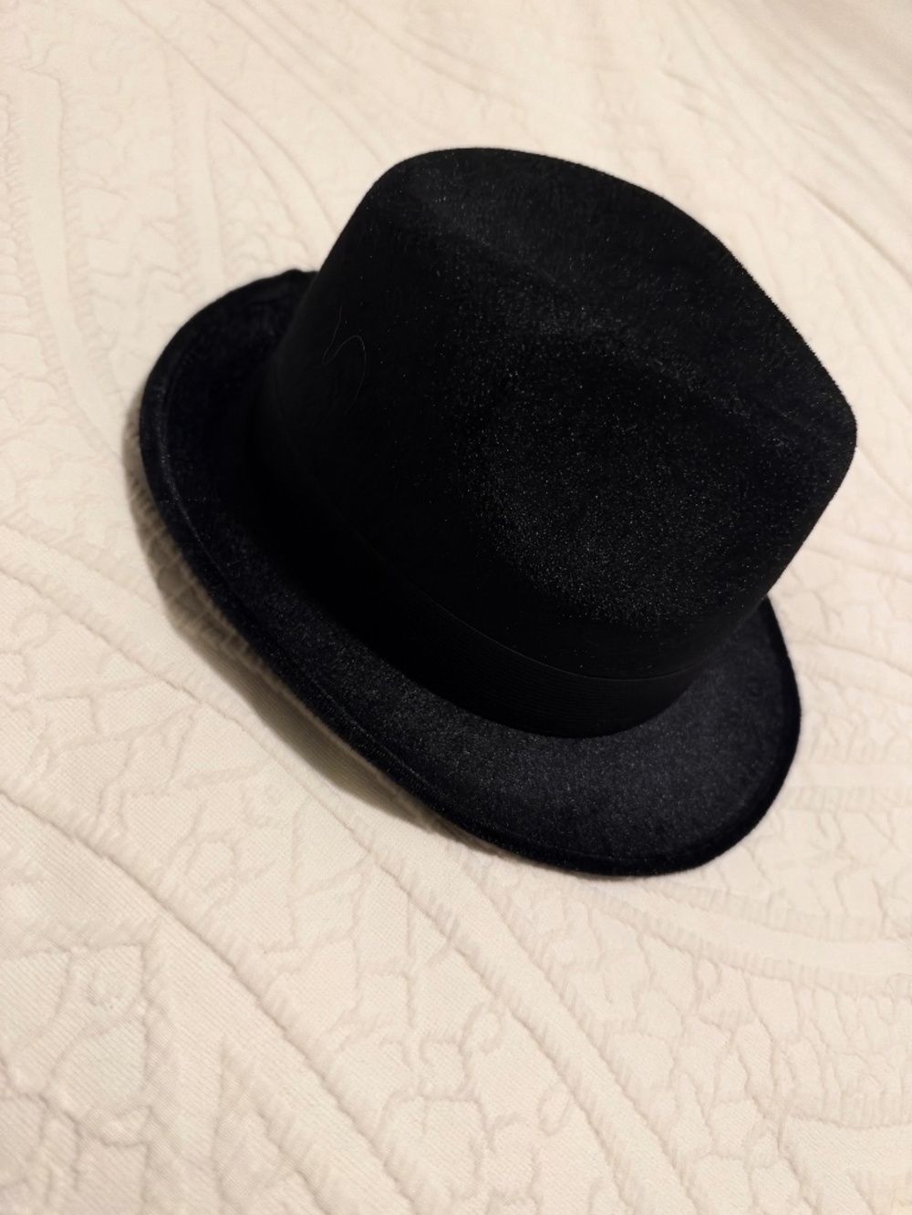 Men’s Velvet Fedora